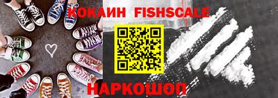 тгк Кингисепп
