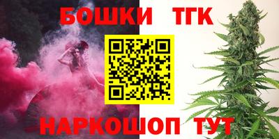 тгк Кингисепп