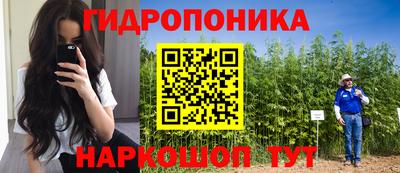 гашик Кимры