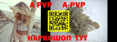 тгк Кингисепп