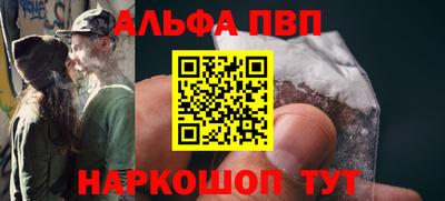 тгк Кингисепп