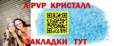 тгк Кингисепп