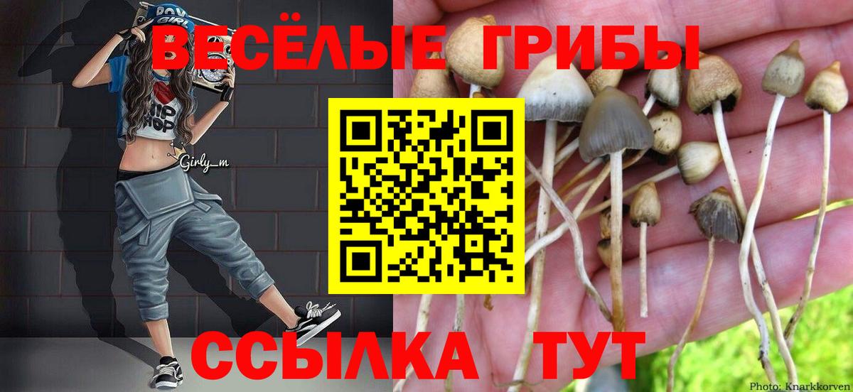 Галлюциногенные грибы GOLDEN TEACHER  Вход с VPN  Благовещенск  Галлюциногенные грибы Magic Shrooms 