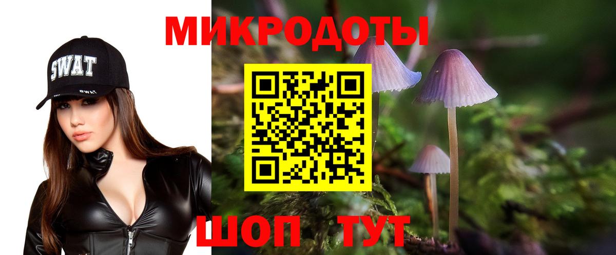 Галлюциногенные грибы Psilocybine cubensis Благовещенск
